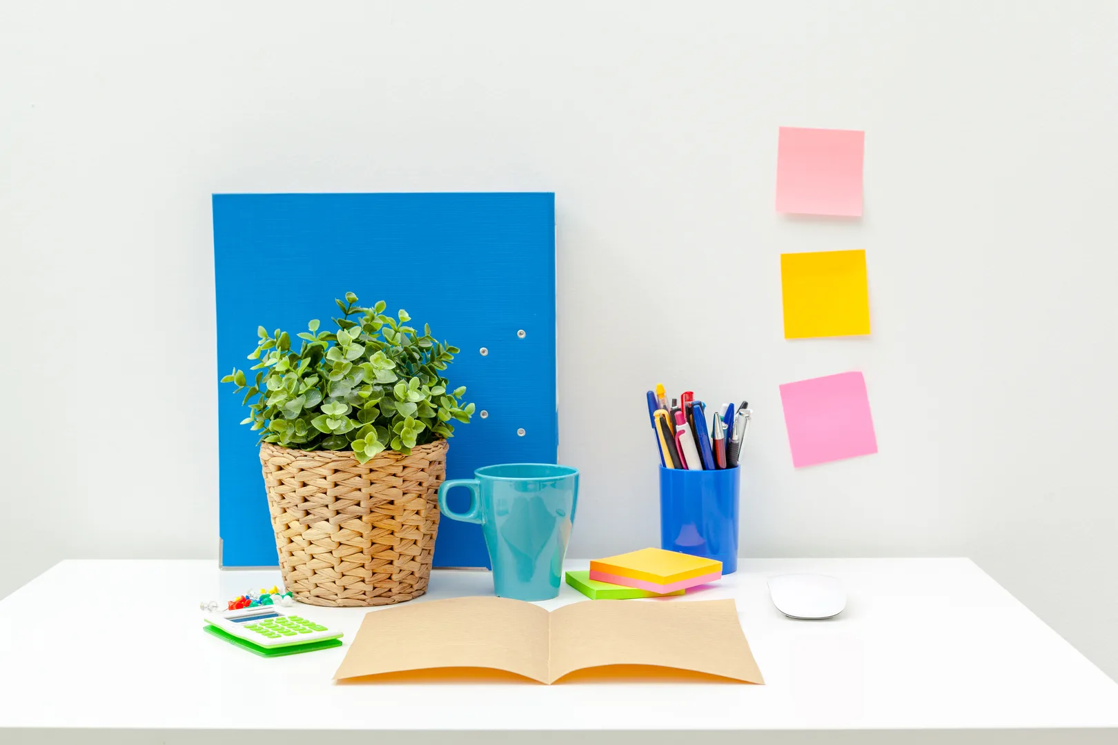 Renkli ve düzenli çalışma masası: bitki, kupa, kalemlik, defterler